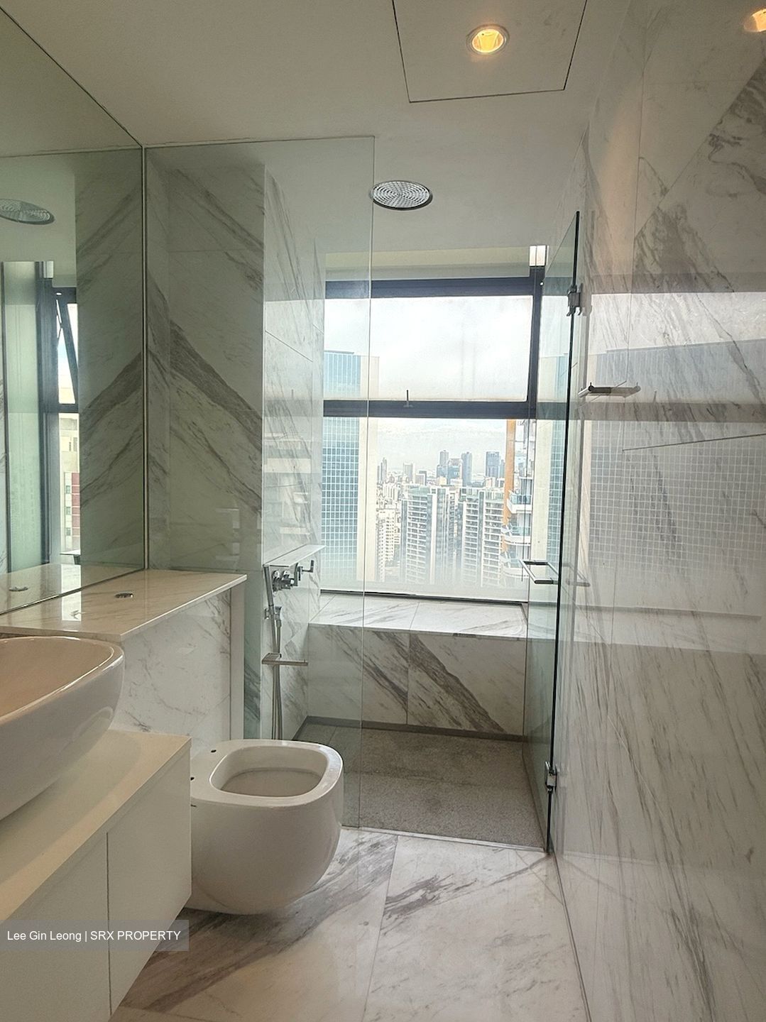 Newton Suites (D11), Apartment #480454121